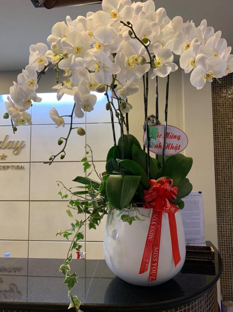 Holiday Hotel Haiphong Exterior foto